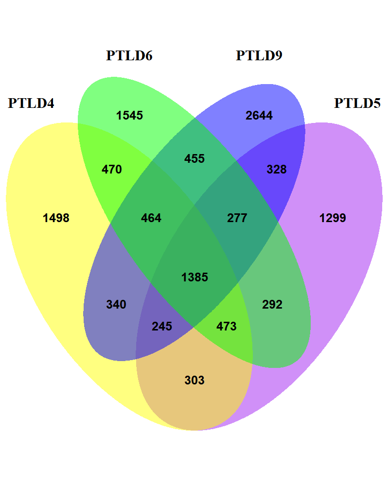 venn